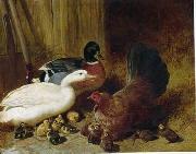 unknow artist Poultry 086 china oil painting artist